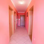 Апартаменты In - Insel Rab 34120 *